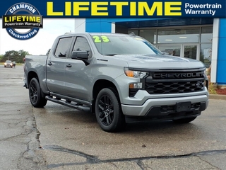 2023 Chevrolet Silverado 1500 for sale in Fowlerville MI