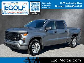 2023 Chevrolet Silverado 1500 for sale in Brevard NC