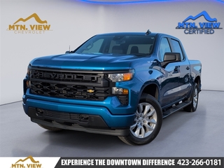 2022 Chevrolet Silverado 1500 for sale in Chattanooga TN