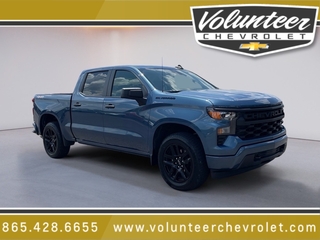2024 Chevrolet Silverado 1500 for sale in Sevierville TN