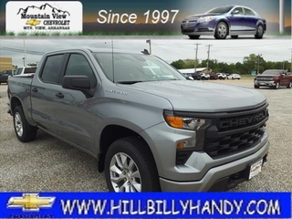 2024 Chevrolet Silverado 1500 for sale in Mountain View AR