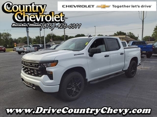 2024 Chevrolet Silverado 1500 for sale in Herscher IL