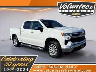 2024 Chevrolet Silverado 1500 for sale in Sevierville TN