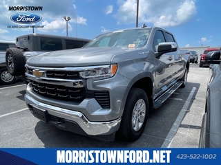 2024 Chevrolet Silverado 1500 for sale in Morristown TN