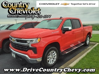 2022 Chevrolet Silverado 1500 for sale in Herscher IL