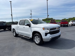2023 Chevrolet Silverado 1500 for sale in Knoxville TN