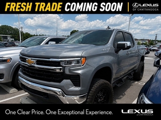 2024 Chevrolet Silverado 1500 for sale in Chattanooga TN