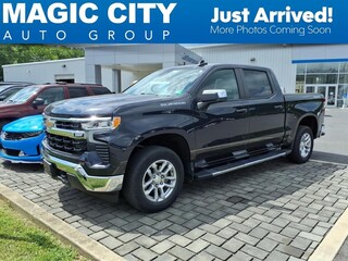 2022 Chevrolet Silverado 1500 for sale in Roanoke VA
