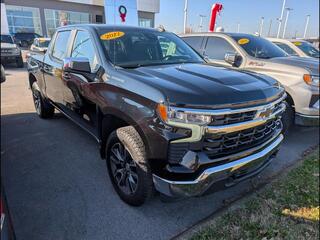 2022 Chevrolet Silverado 1500 for sale in Bowling Green KY