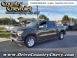 2023 Chevrolet Silverado 1500 for sale in Herscher IL