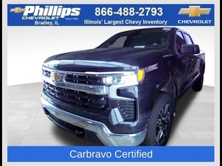 2024 Chevrolet Silverado 1500 for sale in Bradley IL