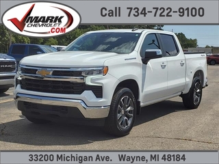 2022 Chevrolet Silverado 1500 for sale in Wayne MI