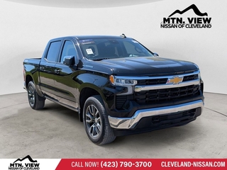 2023 Chevrolet Silverado 1500 for sale in Mcdonald TN