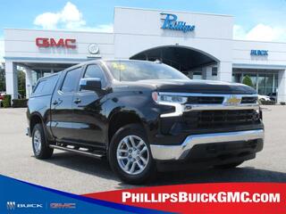 2023 Chevrolet Silverado 1500 for sale in Fruitland Park FL