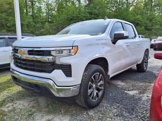 2023 Chevrolet Silverado 1500 for sale in Mount Hope WV