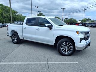 2024 Chevrolet Silverado 1500 for sale in Rocky Mount VA