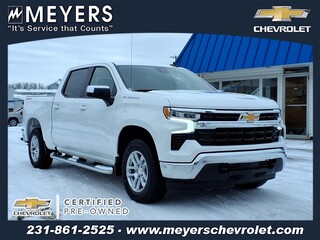2022 Chevrolet Silverado 1500 for sale in New Era MI