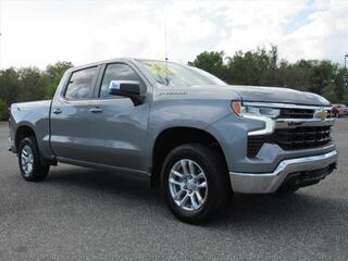 2023 Chevrolet Silverado 1500 for sale in Fruitland Park FL