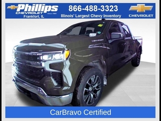 2023 Chevrolet Silverado 1500 for sale in Frankfort IL