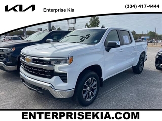 2022 Chevrolet Silverado 1500 for sale in Enterprise AL