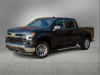 2024 Chevrolet Silverado 1500 for sale in Ann Arbor MI