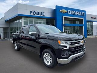 2023 Chevrolet Silverado 1500 for sale in Powderly KY