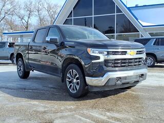 2022 Chevrolet Silverado 1500 for sale in Whitehall MI