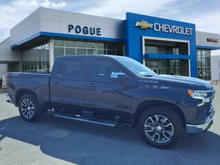 2023 Chevrolet Silverado 1500 for sale in Powderly KY