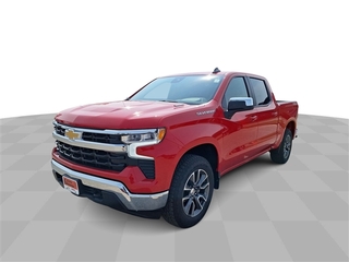 2024 Chevrolet Silverado 1500 for sale in Grand Rapids MN