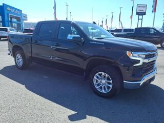 2023 Chevrolet Silverado 1500 for sale in Powderly KY