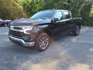 2023 Chevrolet Silverado 1500 for sale in Big Stone Gap VA