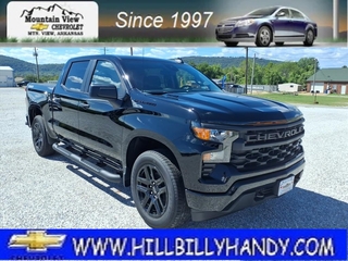 2026 Chevrolet Silverado 1500 for sale in Mountain View AR