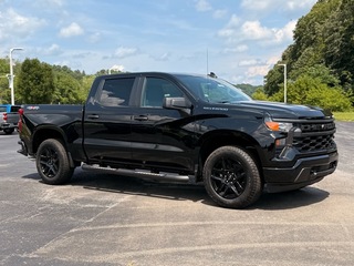 2025 Chevrolet Silverado 1500 for sale in Princeton WV