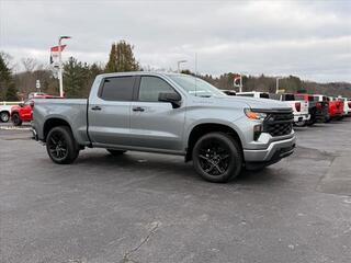 2025 Chevrolet Silverado 1500 for sale in Princeton WV