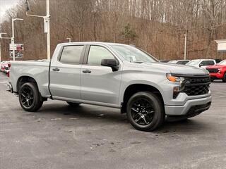 2025 Chevrolet Silverado 1500 for sale in Princeton WV