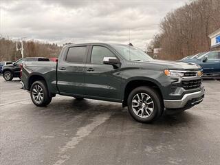 2025 Chevrolet Silverado 1500 for sale in Princeton WV