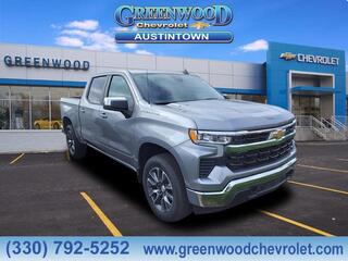 2025 Chevrolet Silverado 1500 for sale in Youngstown OH