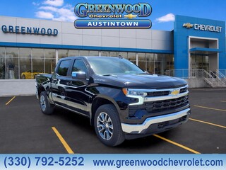 2026 Chevrolet Silverado 1500 for sale in Youngstown OH