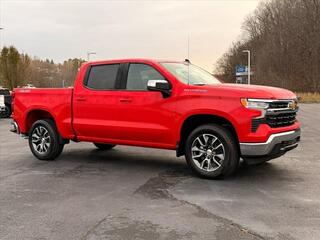 2025 Chevrolet Silverado 1500 for sale in Princeton WV