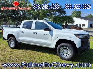 2025 Chevrolet Colorado for sale in Winchester VA