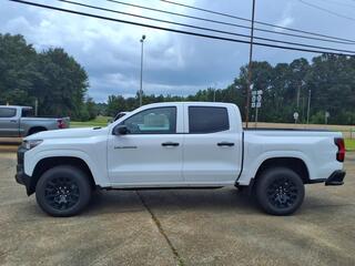 2025 Chevrolet Colorado for sale in Philadelphia MS