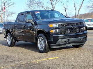 2019 Chevrolet Silverado 1500 for sale in New Hudson MI
