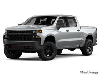 2021 Chevrolet Silverado 1500 for sale in Monroeville PA