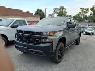 2021 Chevrolet Silverado 1500 for sale in Fenton MO
