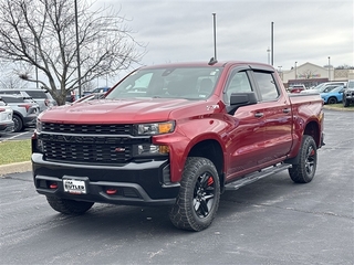 2021 Chevrolet Silverado 1500 for sale in Fenton MO