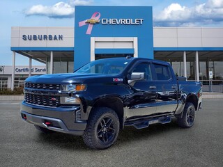 2020 Chevrolet Silverado 1500 for sale in Ann Arbor MI