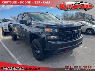 2019 Chevrolet Silverado 1500 for sale in Boardman OH