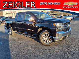 2021 Chevrolet Silverado 1500 for sale in Claysburg PA