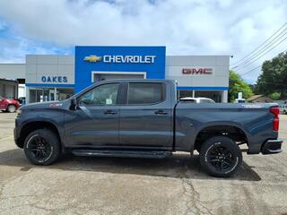 2019 Chevrolet Silverado 1500 for sale in Greenville MS