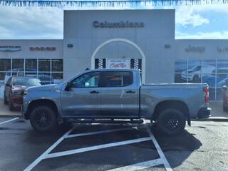 2019 Chevrolet Silverado 1500 for sale in Boardman OH